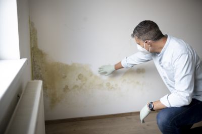 Mold Removal in Jupiter, FL