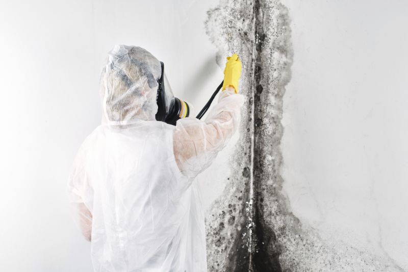 Air Duct Mold Removal in Essex County, NJ