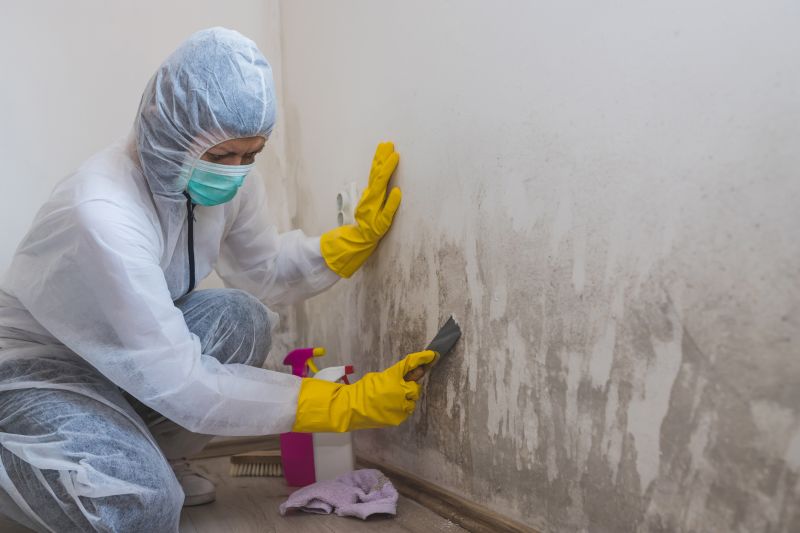 Air Duct Mold Removal in Boca Raton, FL