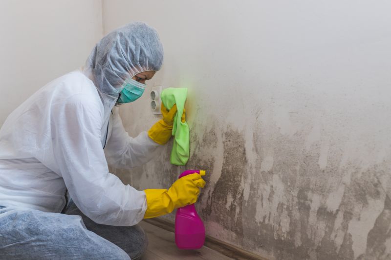 Air Duct Mold Removal in Dallas, TX