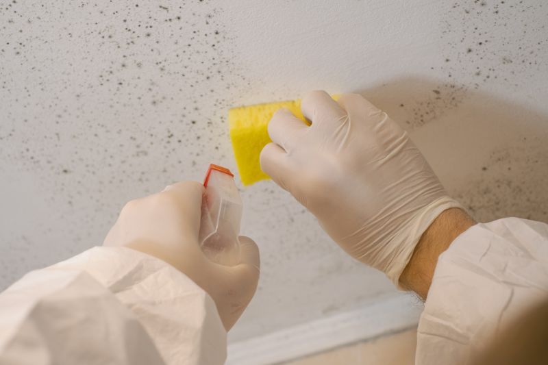Attic Mold Remediation in Boca Raton, FL
