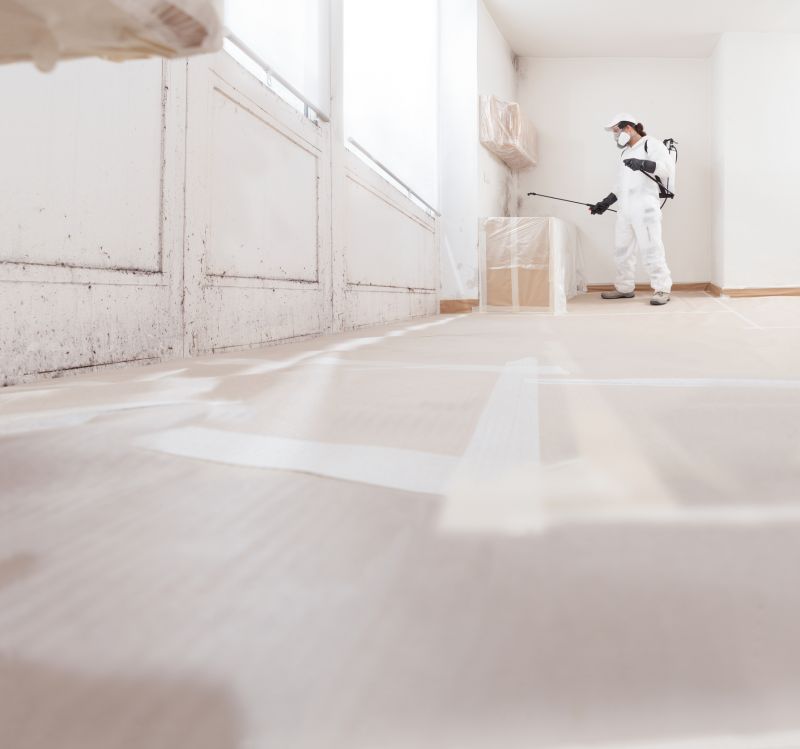 Basement Mold Removal in Dallas, TX
