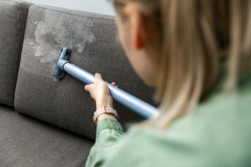 Couch Cleaning Service