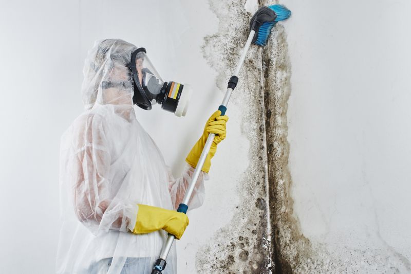 Crawlspace Mold Remediation in Bergen County, NJ