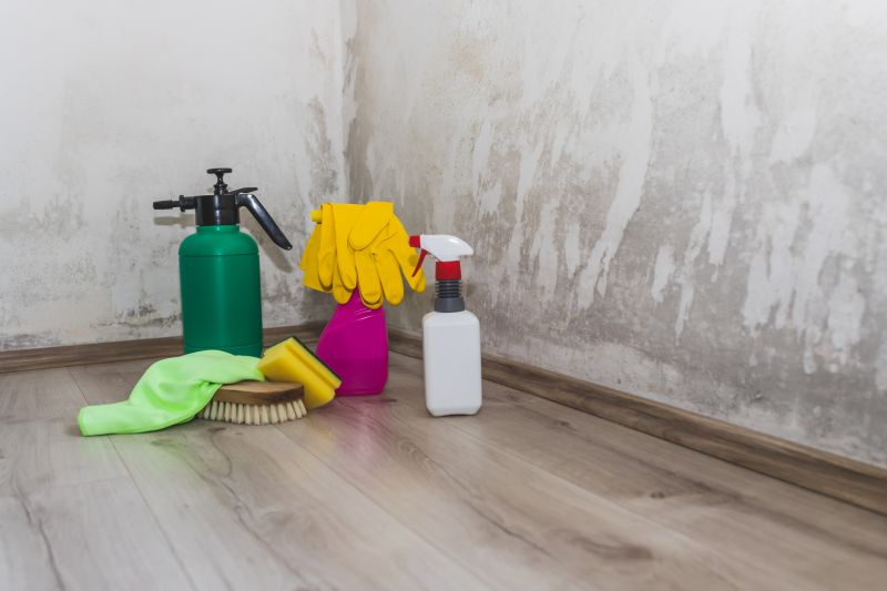 Garage Mold Remediation in Broward County, FL