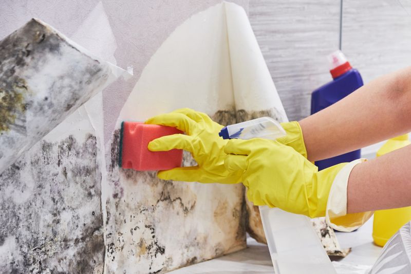 Mold Cleanup Service in Essex County, NJ