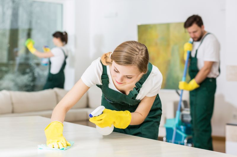 Reo Property Cleaning in Conroe, TX